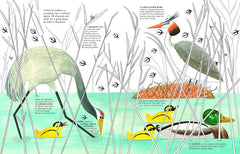 1001 BIRDS