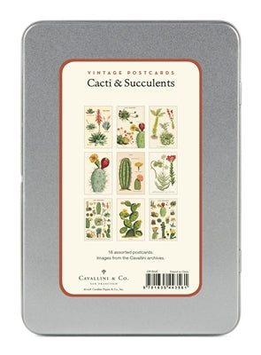 " Succulents " Postcards