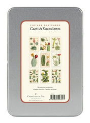 " Succulents " Postcards