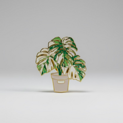 " Monstera Albo Plant " T&B Magnet